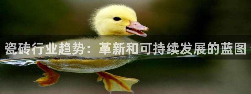 杏鑫平台怎么样知乎