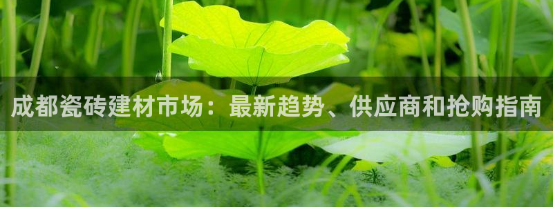 杏鑫注册登录代理公司