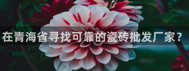 杏鑫代理注册资金多少