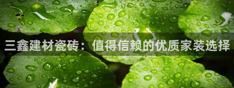 杏鑫平台登录地址在哪