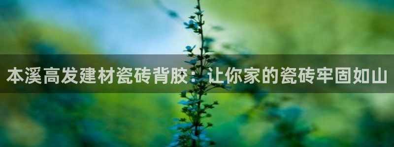 杏鑫官网注册账号怎么注册不了