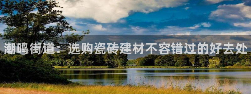 杏鑫3主管