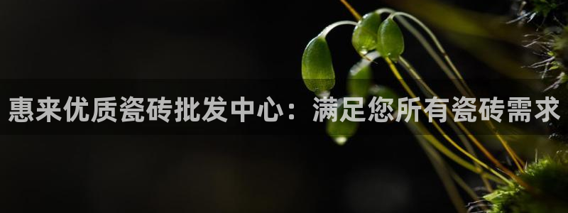 杏鑫平台代理注册