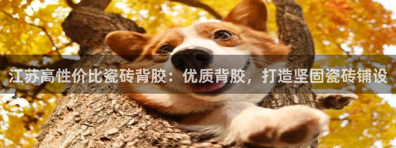 杏鑫平台广7O777