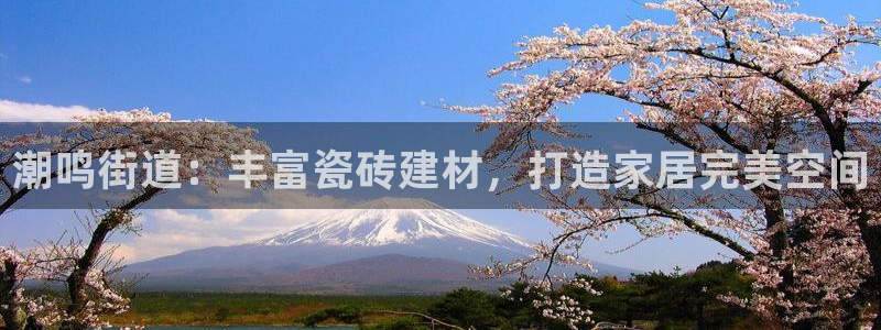 杏鑫官网
