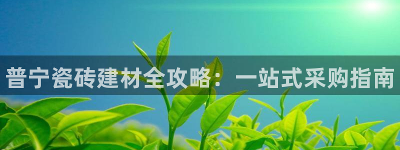 杏鑫平台招商电话号码查询