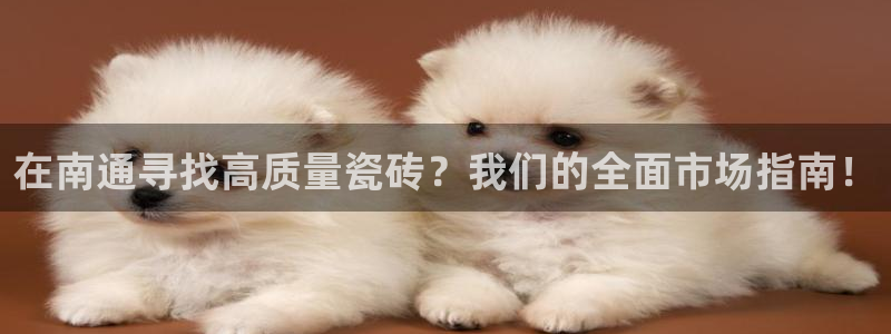 杏鑫平台野马联盟怎么样