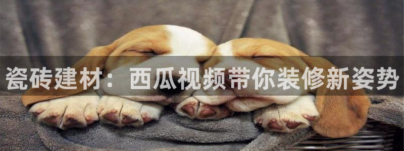 杏鑫平台怎么样