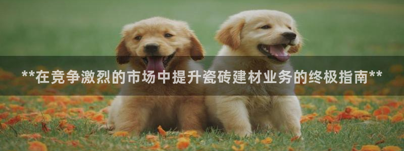 杏鑫娱乐多少年了