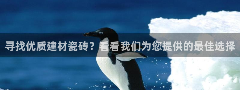 杏鑫代理注册资金多少