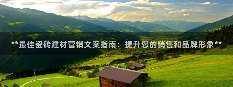 杏鑫平台代理怎么样