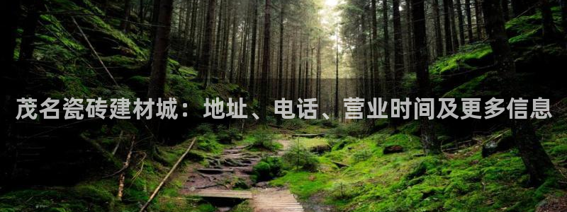 杏鑫注册地址