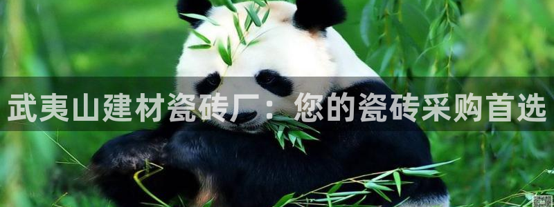 杏鑫平台怎么样黑钱吗