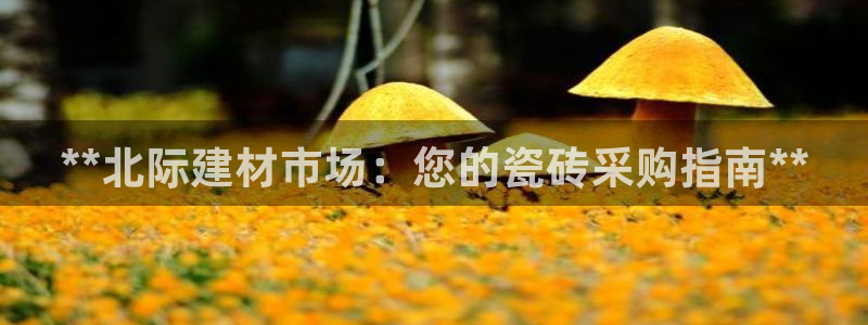 杏鑫平台注册入口在哪