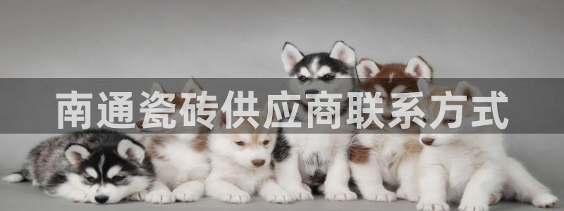 杏鑫平台号7O777