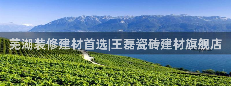 杏鑫平台直属哪个公司