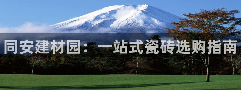 杏鑫官方app代理