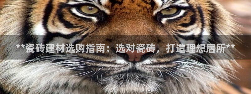 杏鑫平台代理注册多少钱