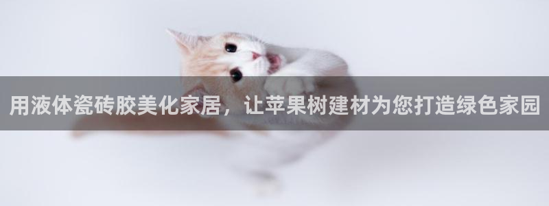 杏鑫官网注册账号是什么