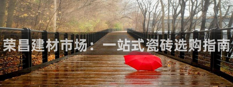 杏鑫官方app代理