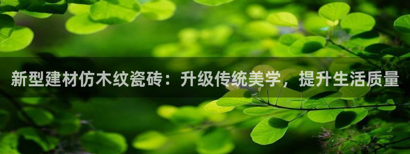 杏鑫官方平台怎么样啊可靠吗