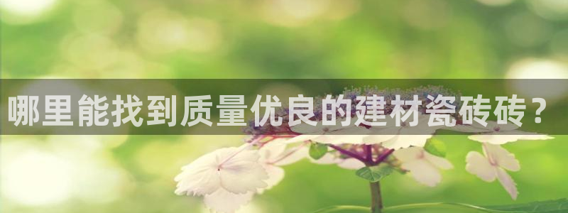 杏鑫平台在线注册流程