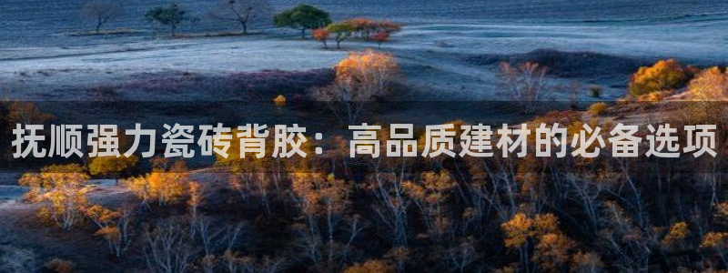 杏鑫平台代理注册流程及费用