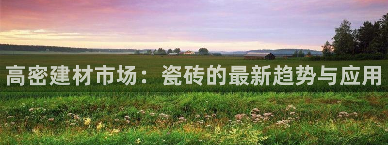 杏鑫平台代理注册登录不了怎么办呀视频