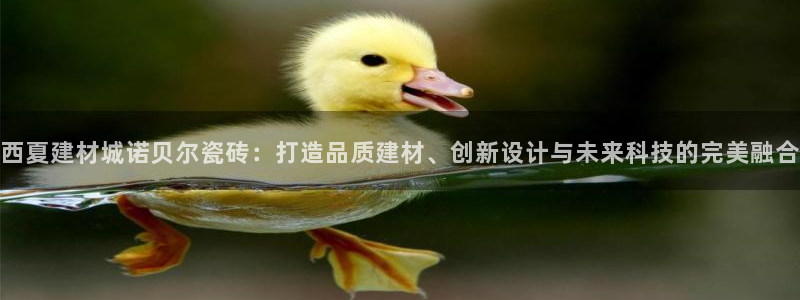 杏鑫平台代理怎么做