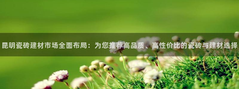 杏鑫官网最新信息新闻