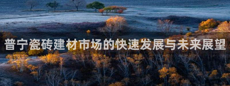 杏鑫平台怎么样知乎