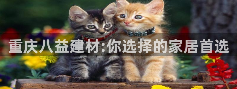 杏鑫平台代理注册多少钱一年