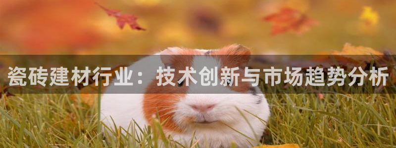杏鑫平台广7O777