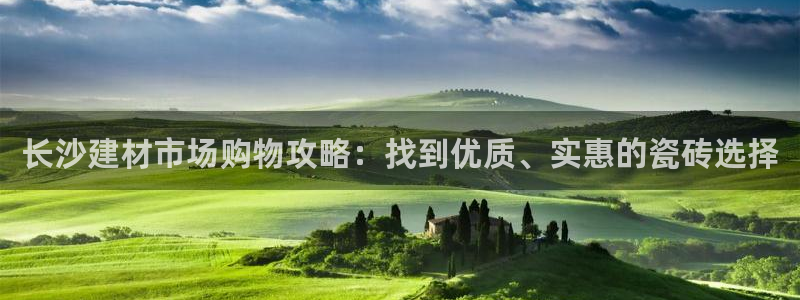 杏鑫注册登录平台是什么