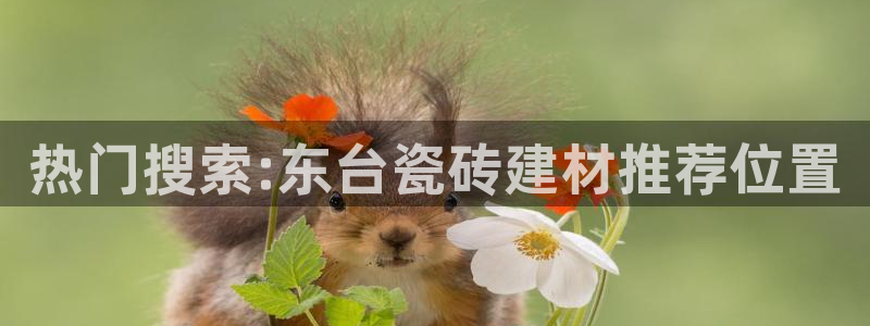 杏鑫平台代理怎么样可靠吗