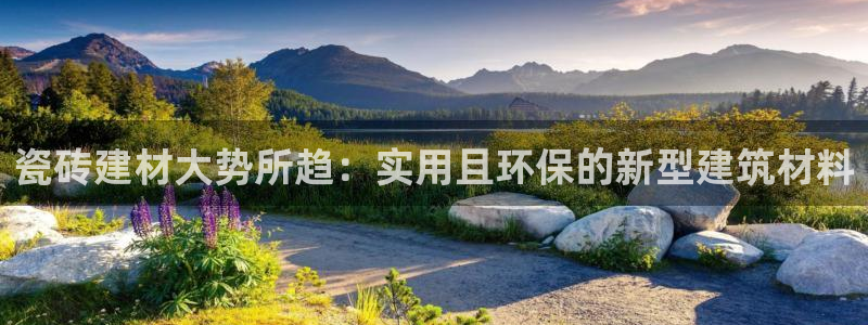 杏鑫官网