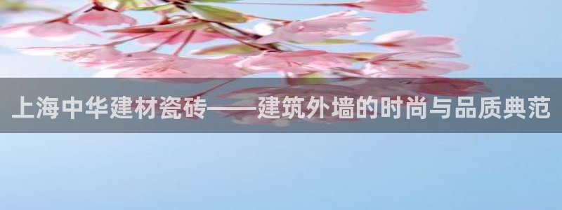 杏鑫平台招商怎么样啊
