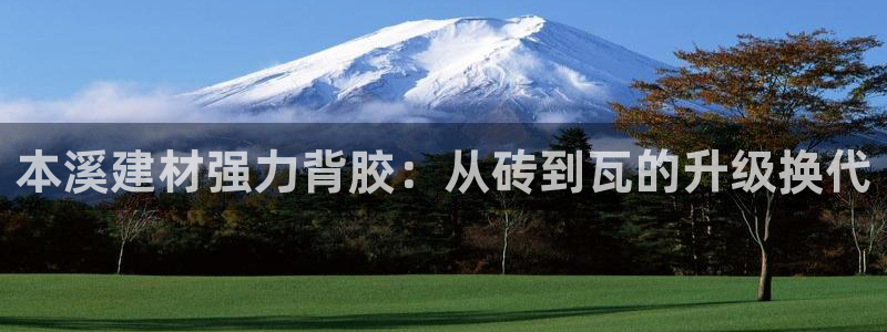 杏鑫平台直属哪个公司