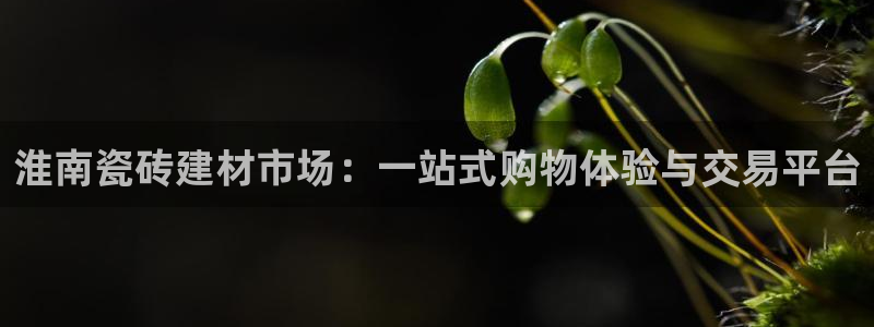 杏鑫平台正规吗