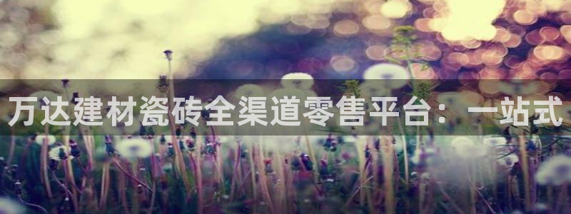 杏鑫平台招商电话是多少