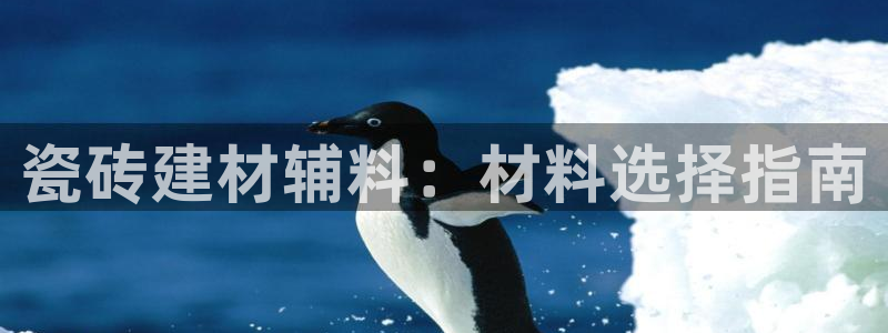 杏鑫平台平台娱乐