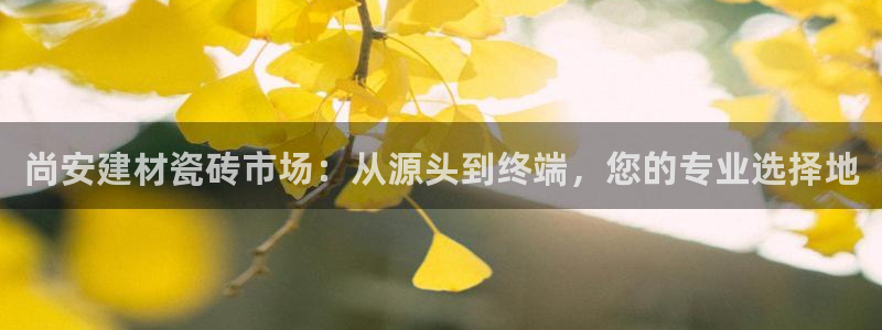 杏鑫平台代理怎么样可靠吗