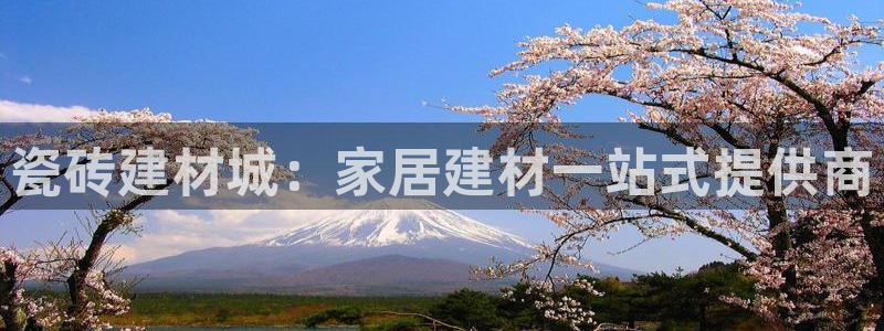 杏鑫平台代理注册多少钱一年