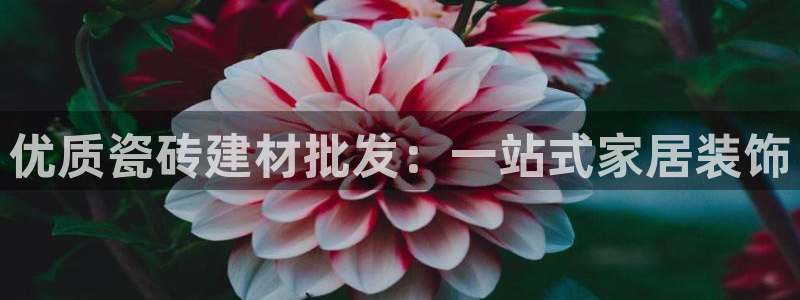 杏鑫官网注册账号怎么注册