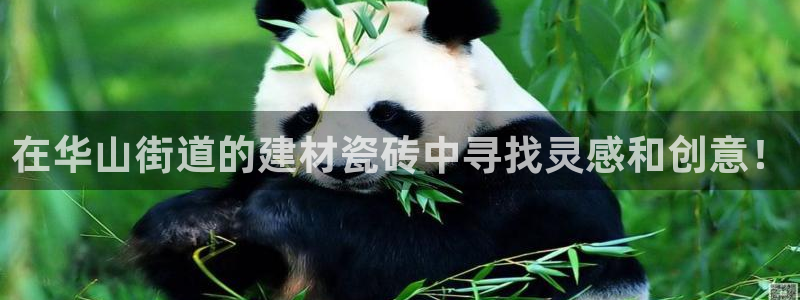 杏鑫官网注册账号怎么注册