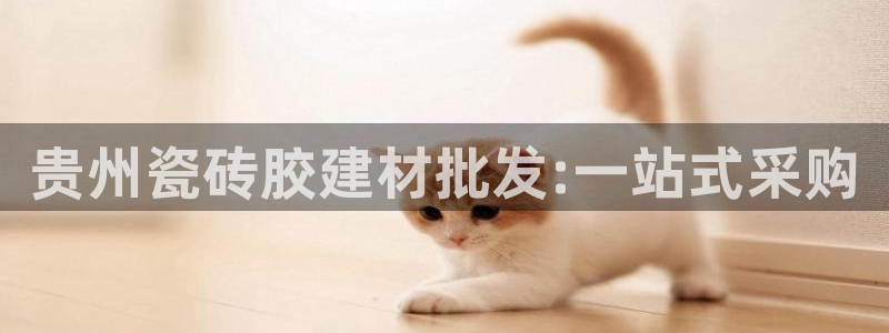 杏鑫平台下载安装