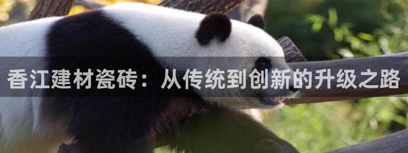 杏鑫平台登录地址是什么