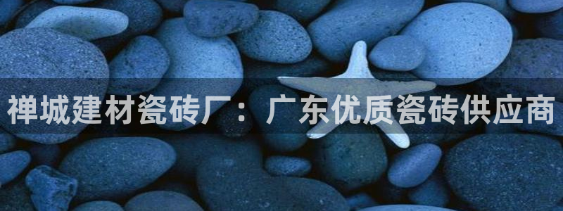 杏鑫平台下载安装