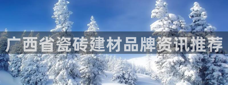 杏鑫平台在线注册怎么注册