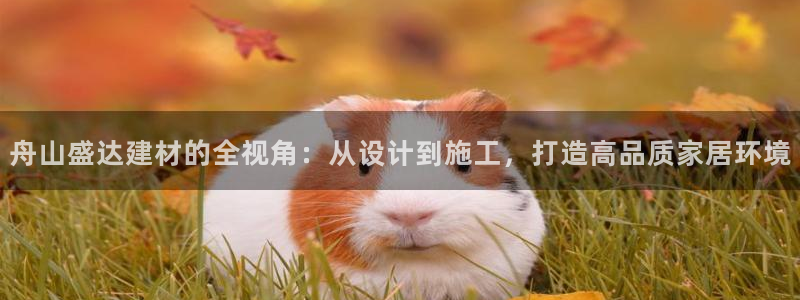 杏鑫平台招商怎么样可靠吗